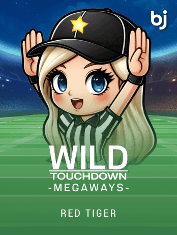 Wild Touchdown Megaways screenshot